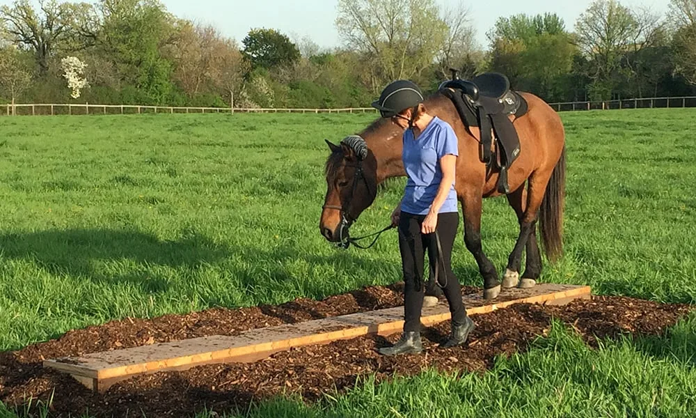 Danada farms is in wheaton, il and has horseback riding lessons