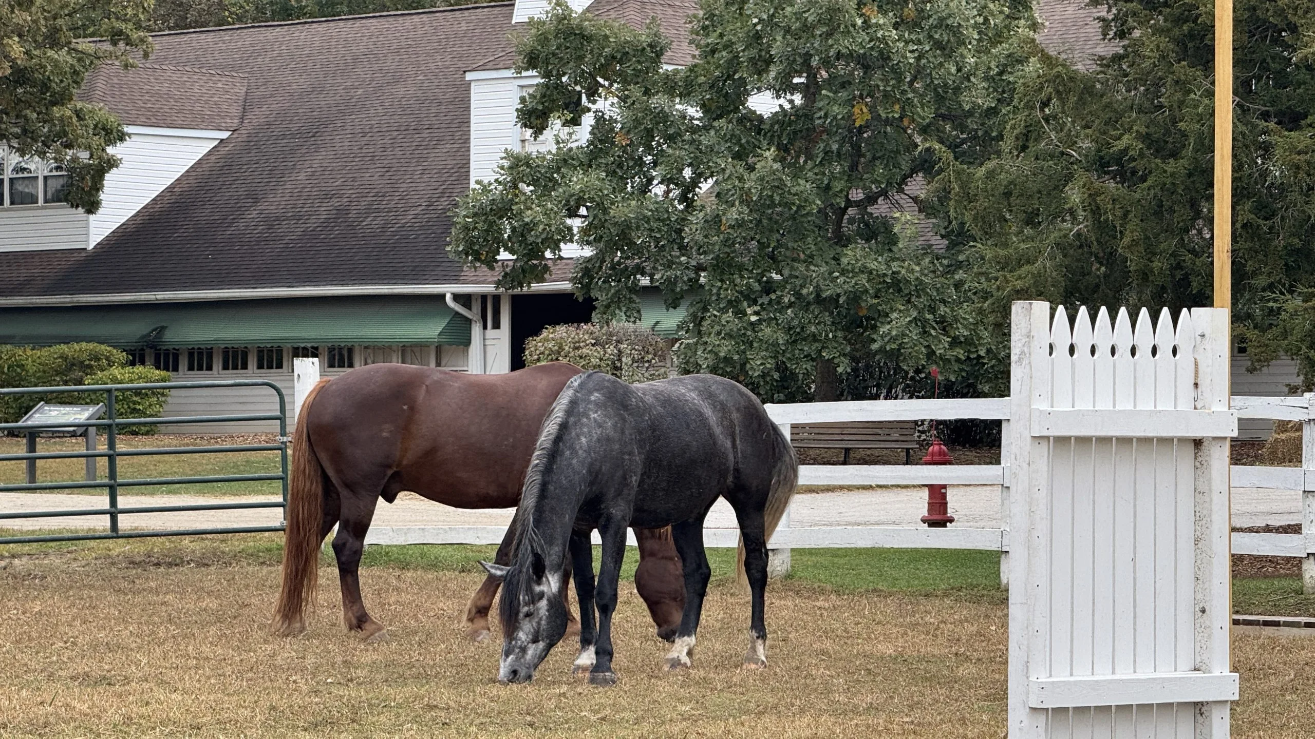 Danada equestrian center danada equestrian center danada house