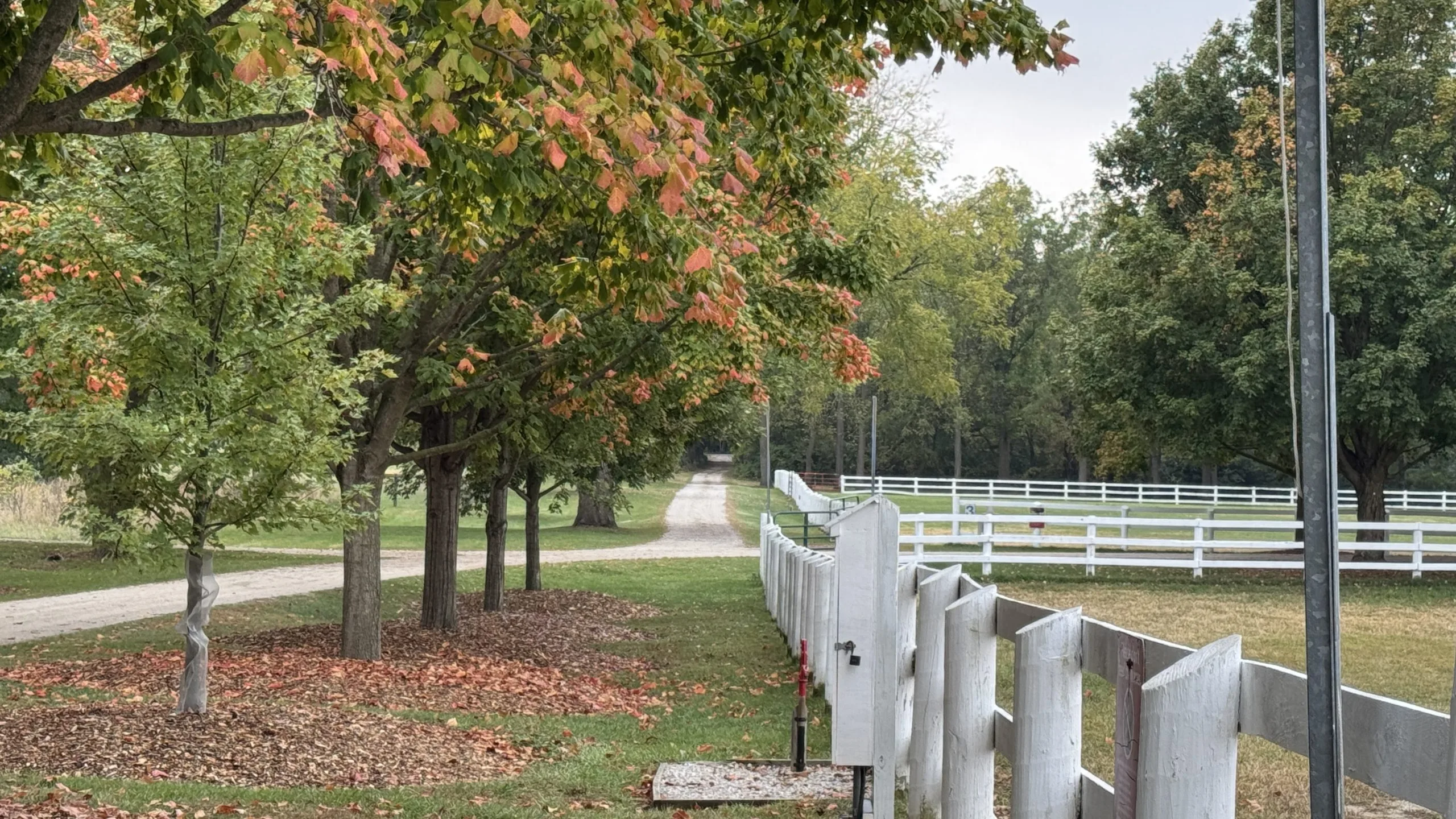 Danada equestrian center danada equestrian center danada house