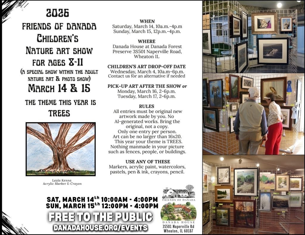 2026 art photo show final 49th annual