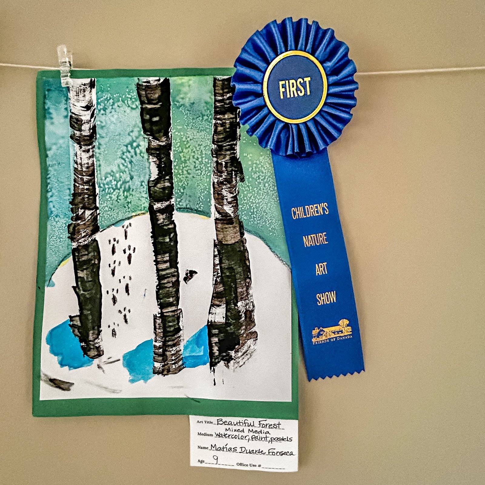 First place children's art - beautiful forest by matias duarte fonseca age 9