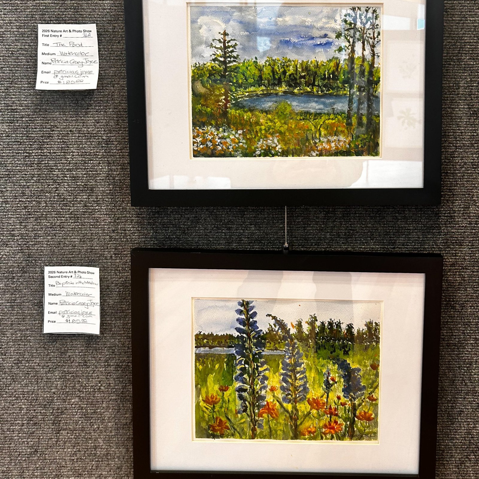Two watercolor paintings by patricia casey joyce - the pond and baptisia in the meadow