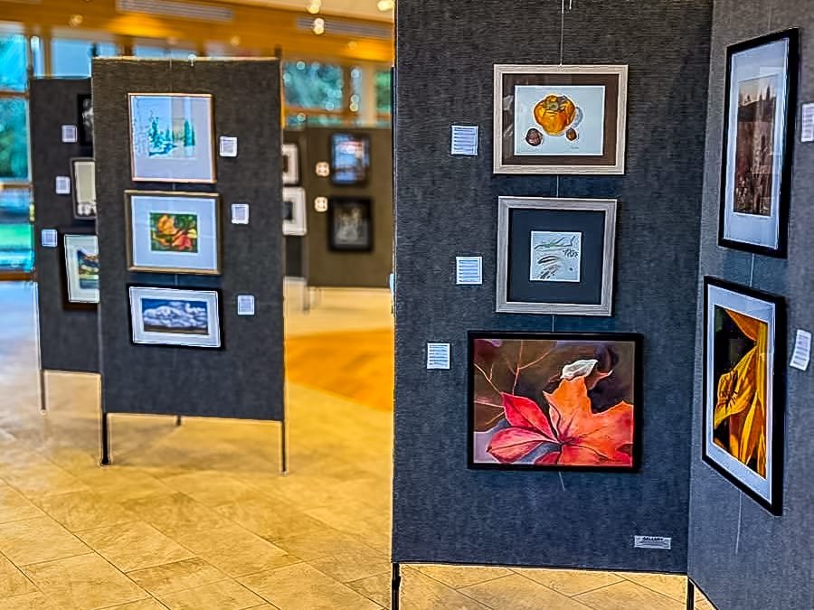 Artwork panels featuring paintings and drawings on display
