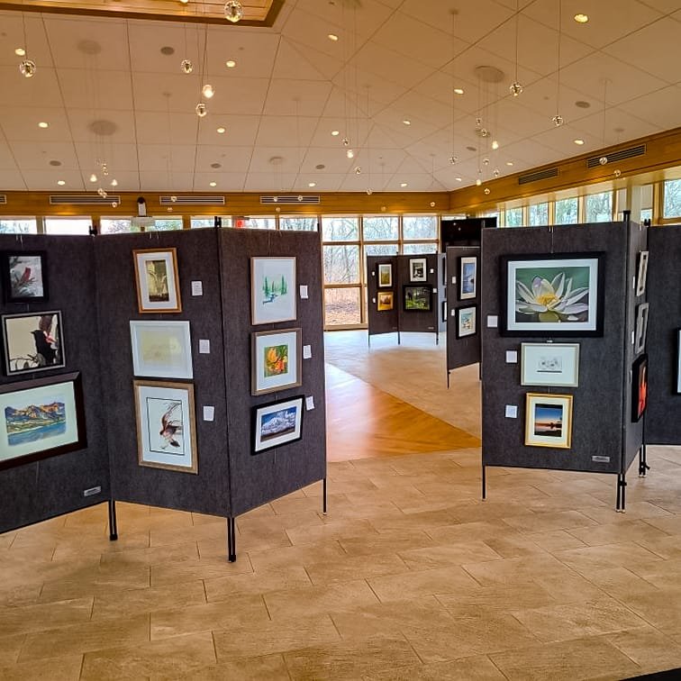 Multiple rows of art panels filling the danada house gallery