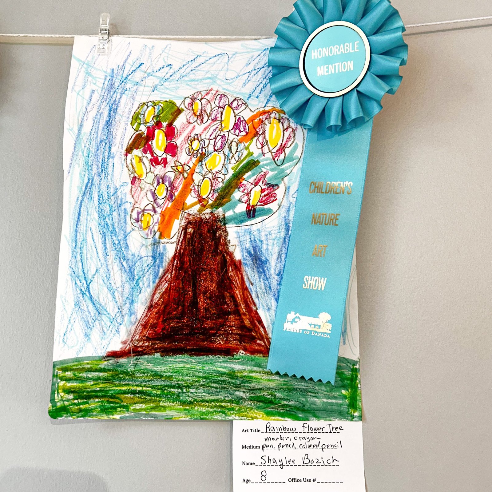 Rainbow flower tree mixed media artwork by shaylee bozich age 8 with honorable mention ribbon