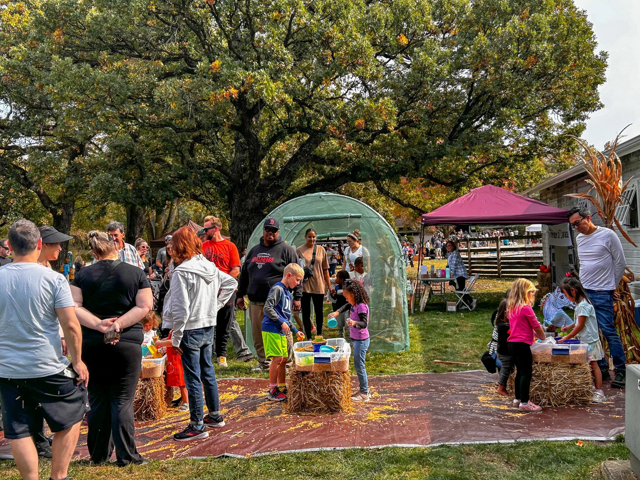 Families gathered around children's fall activities during a previous fall festival at danada